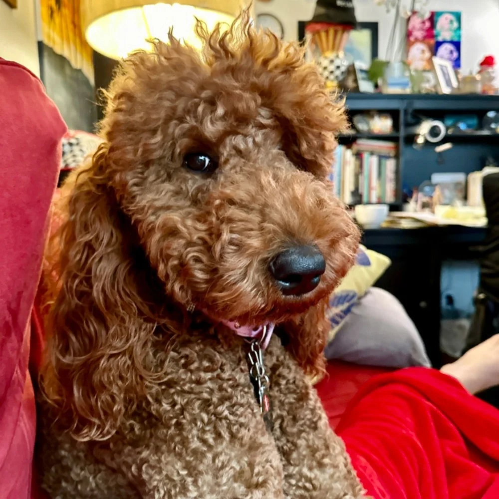 SLEEPERSTYLE LIVE Show! LIKE NOW! Join me for Fashion & Fun! Please Share! 💤😇 - Picture 5 of 17